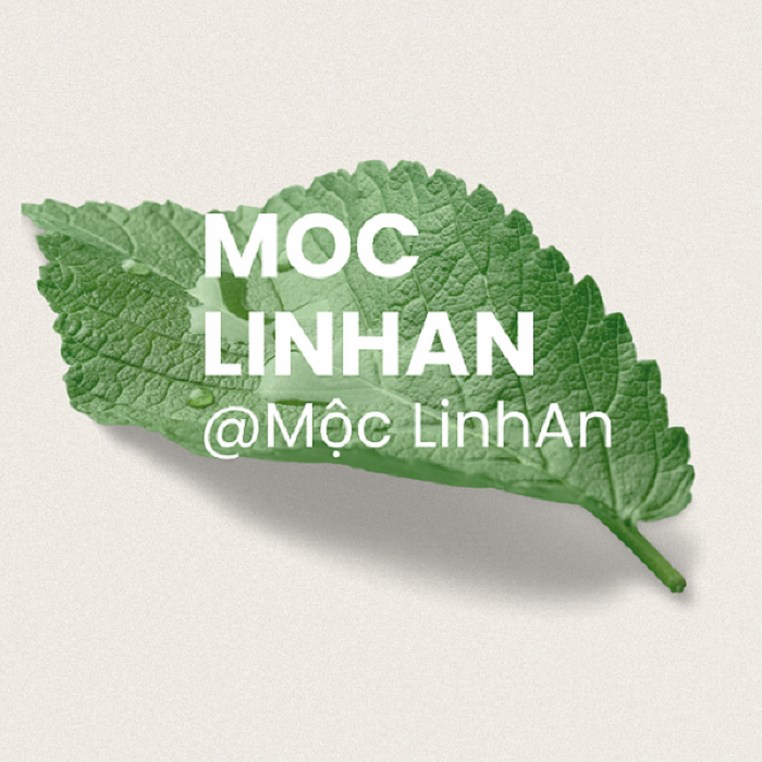 Moc LinhAn