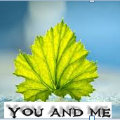 Hang Khuyen Mai You And Me