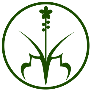 CỬA HÀNG HƯƠNG SẠCH TÂN NGUYÊN