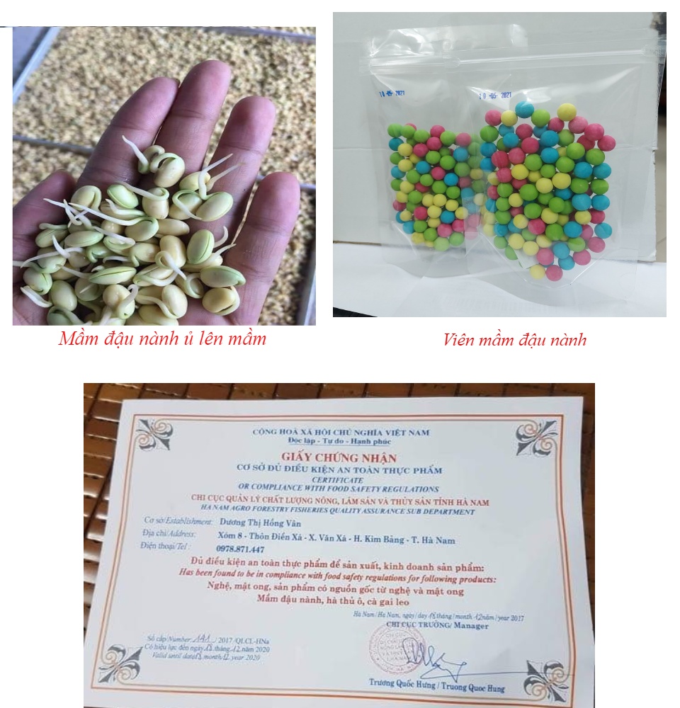 VIÊN MẦM ĐẬU NÀNH MIX ĐỦ VỊ 100GR