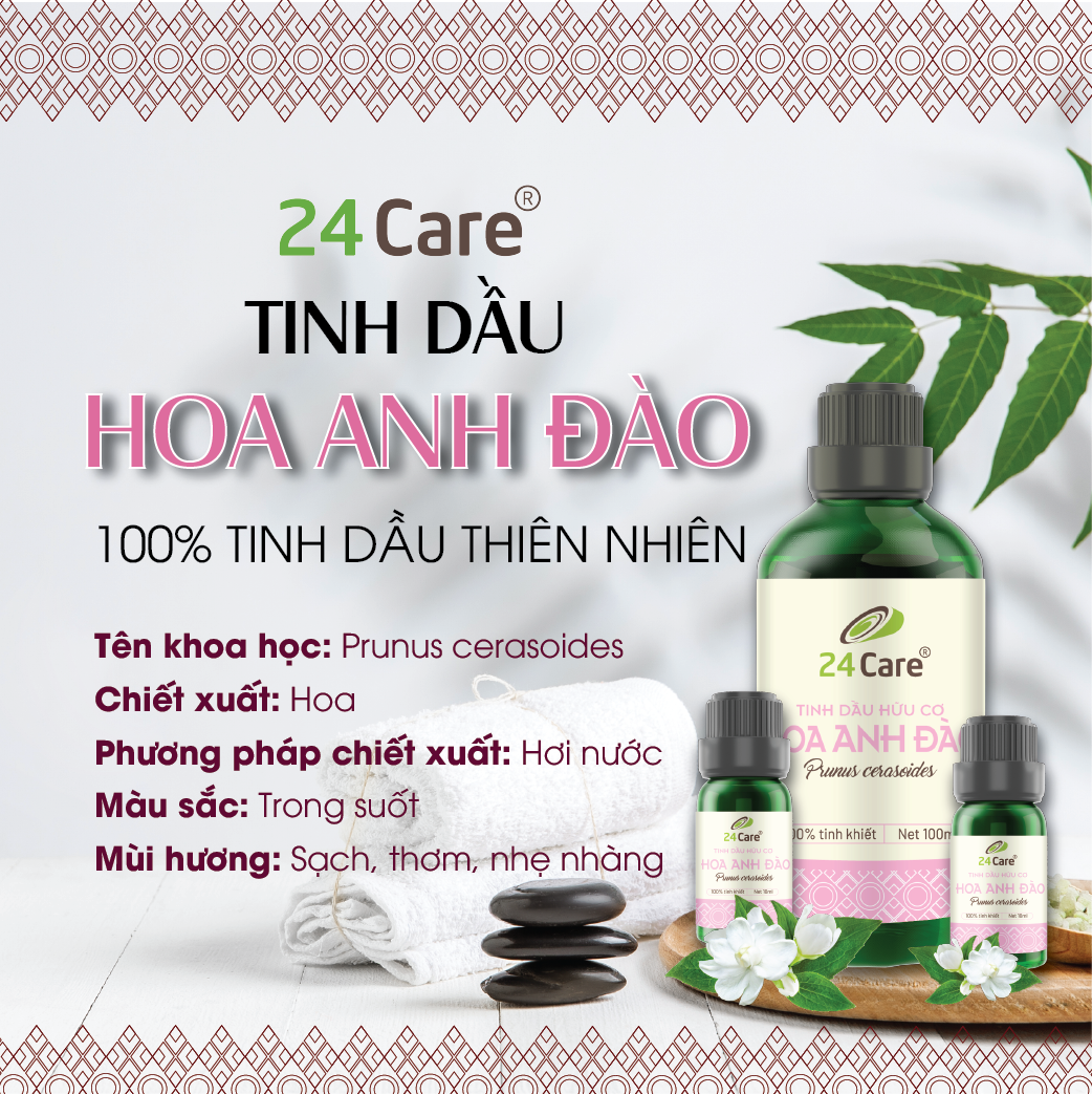 Tinh dầu thiên nhiên Hoa Anh Đào 24Care 10ml/100ml - xông phòng, chăm sóc tóc và da