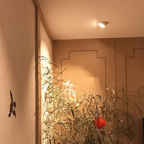 Đèn led âm trần xoay góc ứng dụng trang trí phòng trưng bày Đèn led âm trần xoay góc ứng dụng trang trí phòng trưng bày