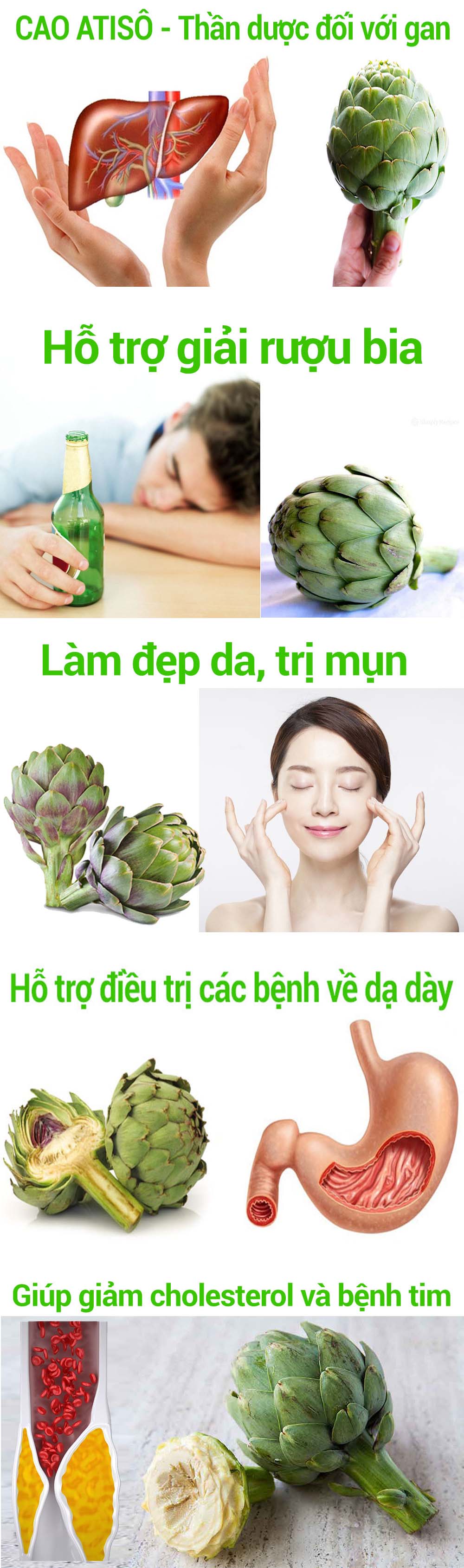 Cao Atiso nước cao cấp Thanh Uyên - hộp 10 tuýp 10ml