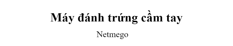 Máy đánh trứng Netmego N38D 300W