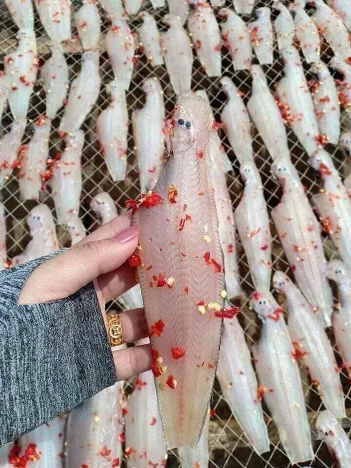 Khô cá biển, Cá lưỡi trâu làm món gì ngon - Khô cá Lưỡi Trâu loại 1 Thơm Ngon, Giàu Dinh Dưỡng - Cam kết 100% từ Tự Nhiên, An Toàn, Không chất Bảo Quản. 1kg, 500gr, 100gr