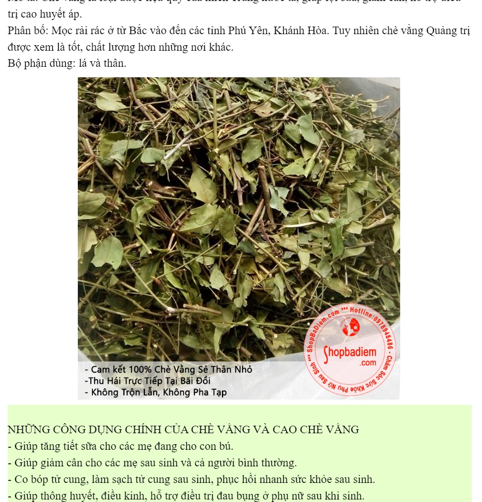 Lá Chè Vằng Khô Trà Vằng Lá Lợi Sữa Giảm Cân Cho Sản Phụ Sau Sinh - Bà ĐIểm Shop