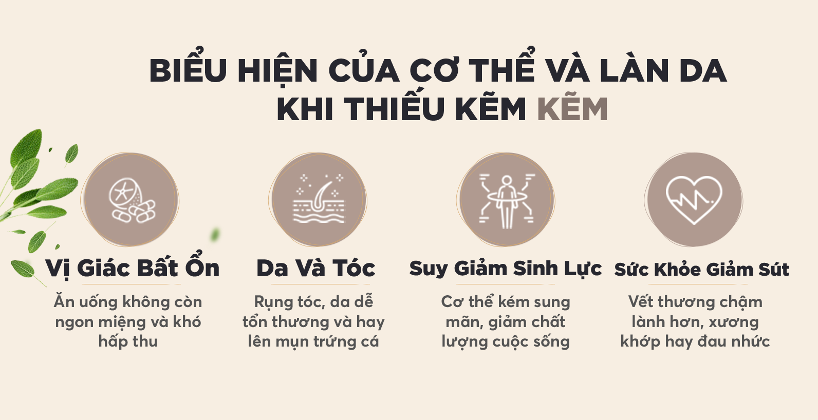 Viên Kẽm DHC Zinc Nhật Bản Gói 20 Ngày bổ sung hữu hiệu lượng kẽm cần thiết cho cơ thể tràn đầy năng lượng