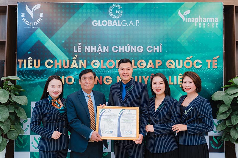 Trà Sữa Matcha Vinanutrifood YT17- Set Trà Sữa Matcha Gói Pha Sẵn Tiện Lợi Thơm Ngon Đậm Vị