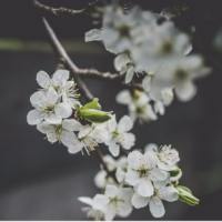 Cửa hàng TYKFYULED