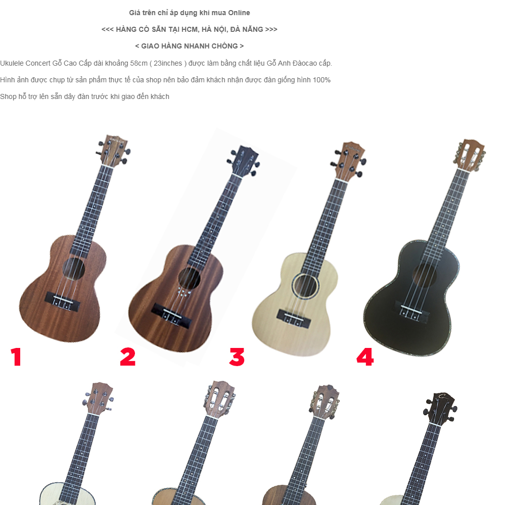 [hcm]đàn ukulele concert gỗ anh đào cao cấp - hàng có sẵn 1
