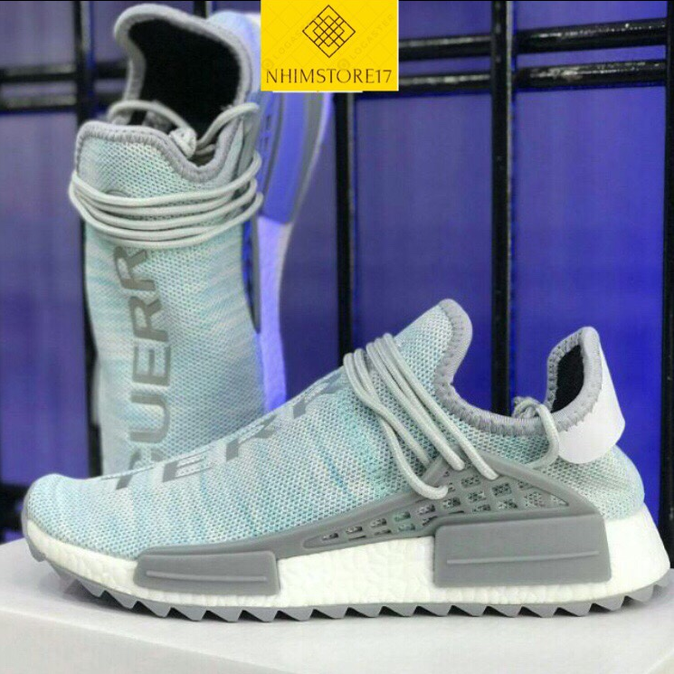 cuerpo terre human race