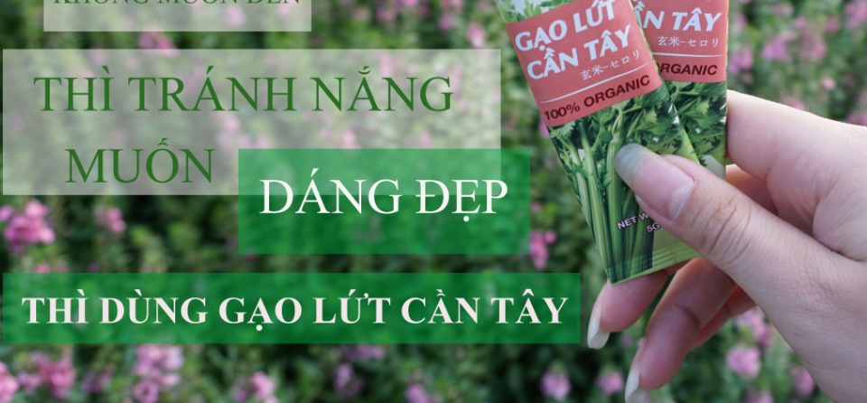 Bột cần tây gạo lứt [Chính Hãng] tạm biệt mỡ thừa đẹp đáng đẹp da (Hộp 14 gói)