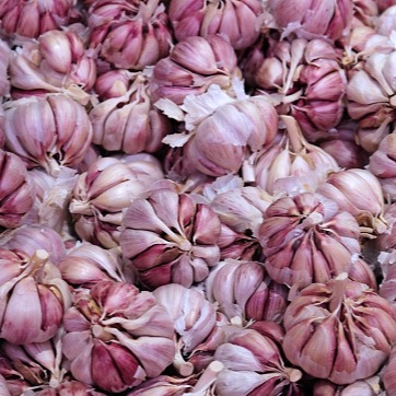 cua hang hanh toi toan quoc