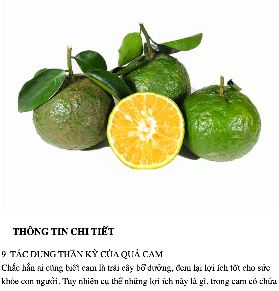 VG FARM  Cam Sành Nguyên Trái Mọng Nước