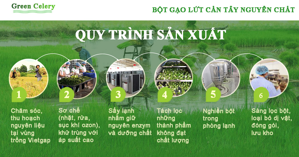 [ HOT ] Giảm cân tiêu mỡ không hại sức khỏe - Sinh tố Gạo Lứt Mix Cần Tây Green Celery