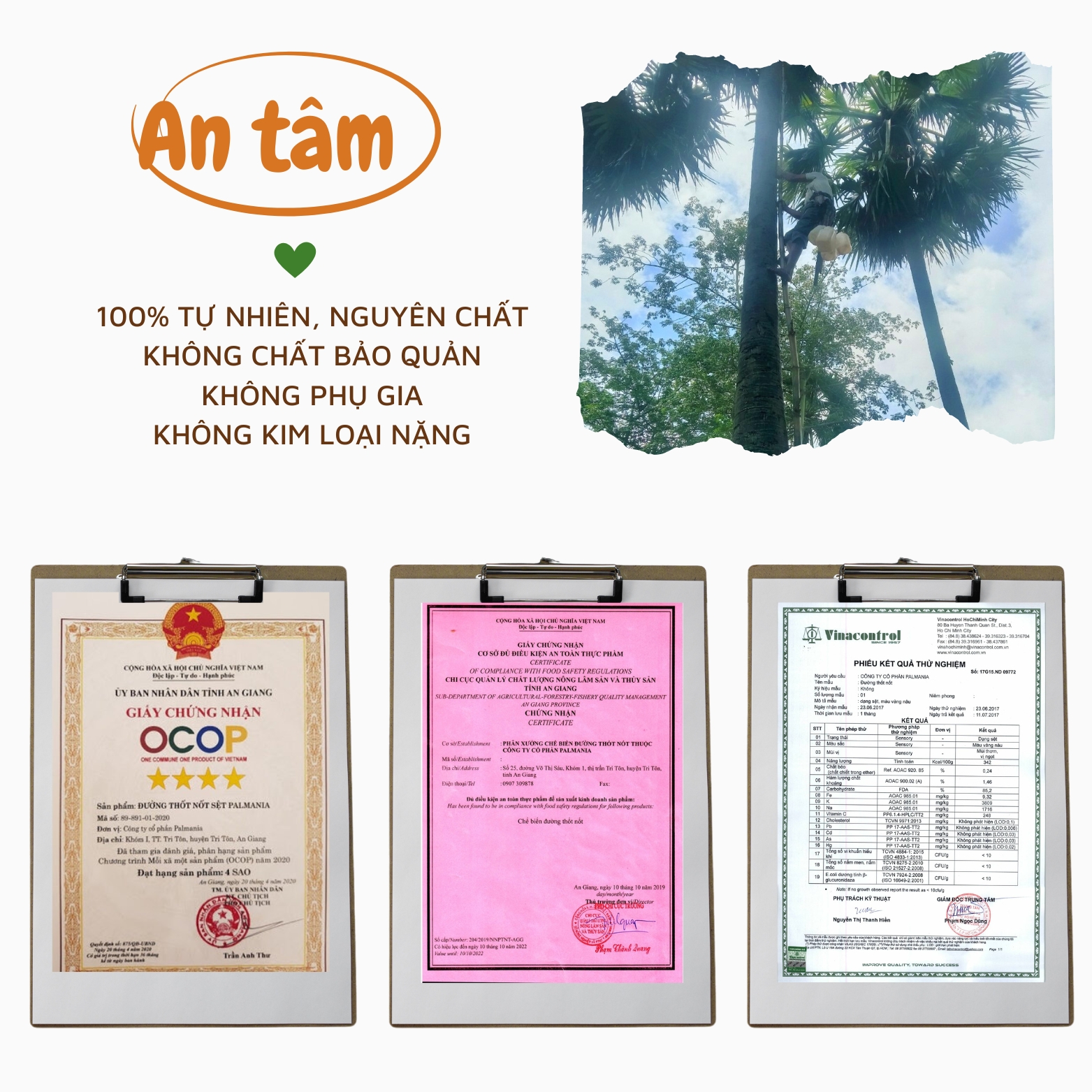 Đường Thốt Nốt Palmania Dạng Sệt - 100% NGUYÊN CHẤT - Nguyên Chất, Tự Nhiên Vì Sức Khỏe, Mật Thốt Lốt Chảy Chính Gốc Hũu Cơ, Đặc Sản An Giang, Mật Thốt Nốt Không Sử Dụng Chất Tẩy Hay Chất Bảo Quản - Palm Sugar