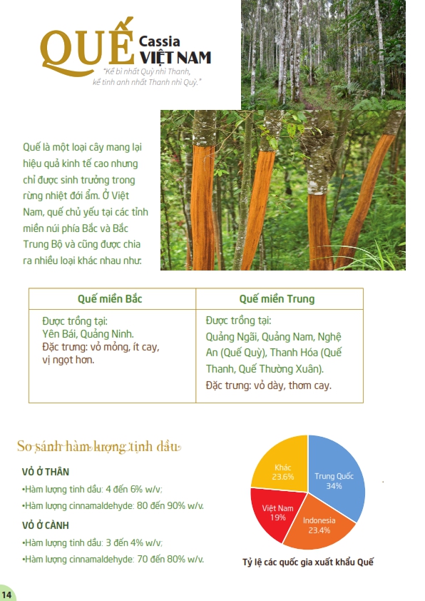 QUẾ KHÚC Ông Chà Và 500g (Cinnamon)- (QUẾ THANH)