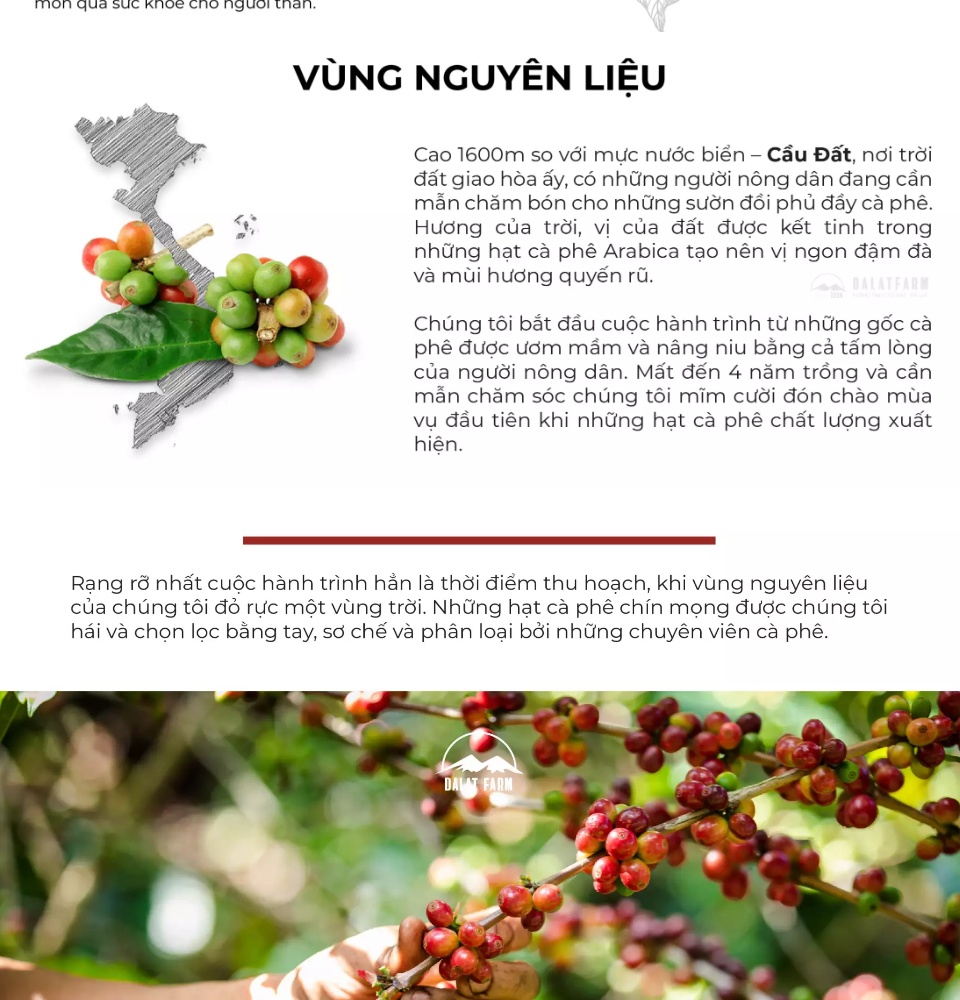 Cà Phê Phin DalatFarm - Hộp 250Gr (Dạng Bột)