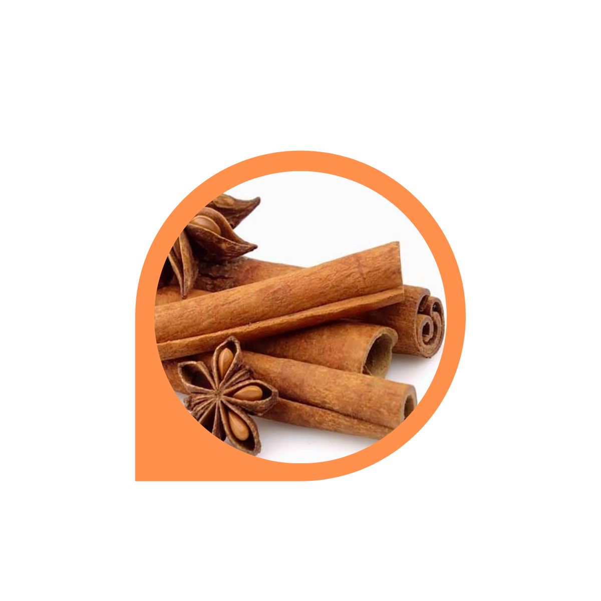 Combo 10 chai Kem tan mỡ bụng, Gel tan mỡ bụng Quế Olic - 4 Girls