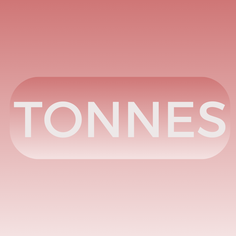 Tonnes Flag_Ship_Store
