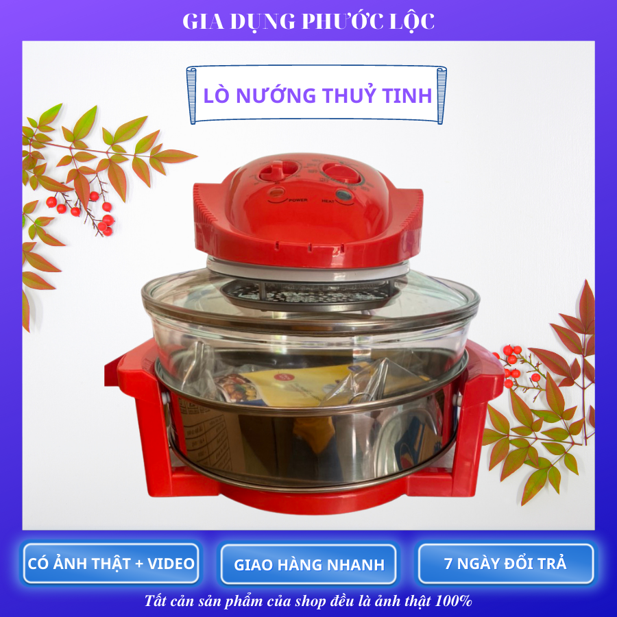 LÒ NƯỚNG ĐỐI LƯU SKYPE