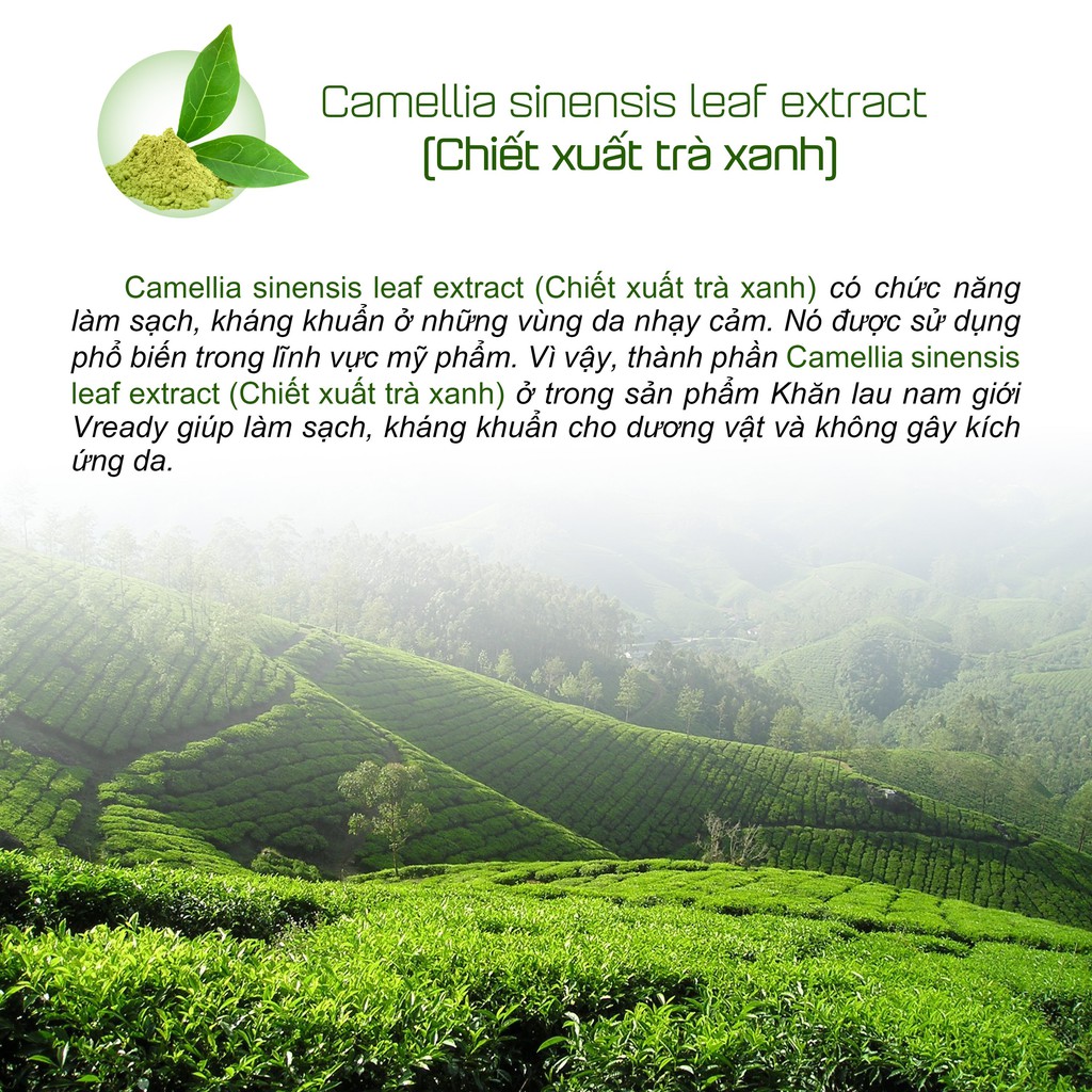 Khăn Lau Nam Giới V2joy (1 Khăn)