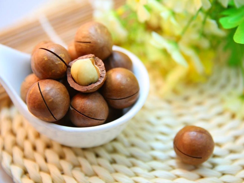 Hạt Macca ĐẮK LẮK nứt vỏ nướng hộp 500g - Kèm dụng cụ tách vỏ, bảo vệ tim mạch, hỗ trợ trao đổi chất và chống oxy hóakèm dụng cụ tách vỏ