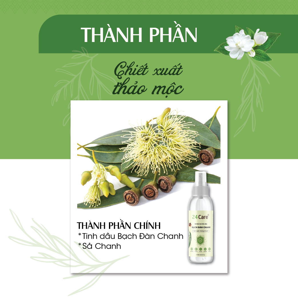 Xịt Phòng Tinh Dầu Bạch Đàn Chanh Hữu Cơ Organic 24Care 250ML - Kháng khuẩn - Khử mùi hôi - Đuổi muỗi - côn trùng - Hương thơm mạnh mẽ giúp tái tạo năng lượng nhanh, giảm stress hiệu quả