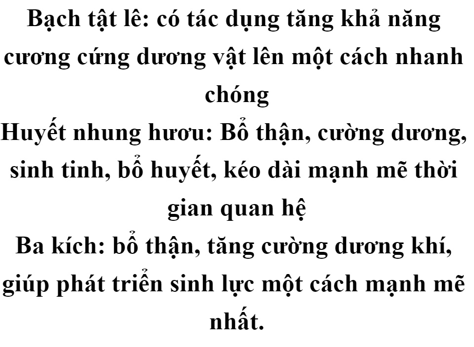 Viên Sủi Xtraman Giúp Bổ Thận Tráng Dương, Tăng Cường Chức Năng Sinh Lý Nam Giới, Cải thiện vấn đề suy giảm ham muốn, Hỗ trợ chữa liệt dương; rối loạn cương dương,xuất tinh sớm, giúp tăng ham muốn; Giúp cương dương 65 Viên Sủi Xtraman Giúp Bổ Thận Tráng Dương, Tăng Cường Chức Năng Sinh Lý Nam Giới, Cải thiện vấn đề suy giảm ham muốn, Hỗ trợ chữa liệt dương; rối loạn cương dương,xuất tinh sớm, giúp tăng ham muốn; Giúp cương dương