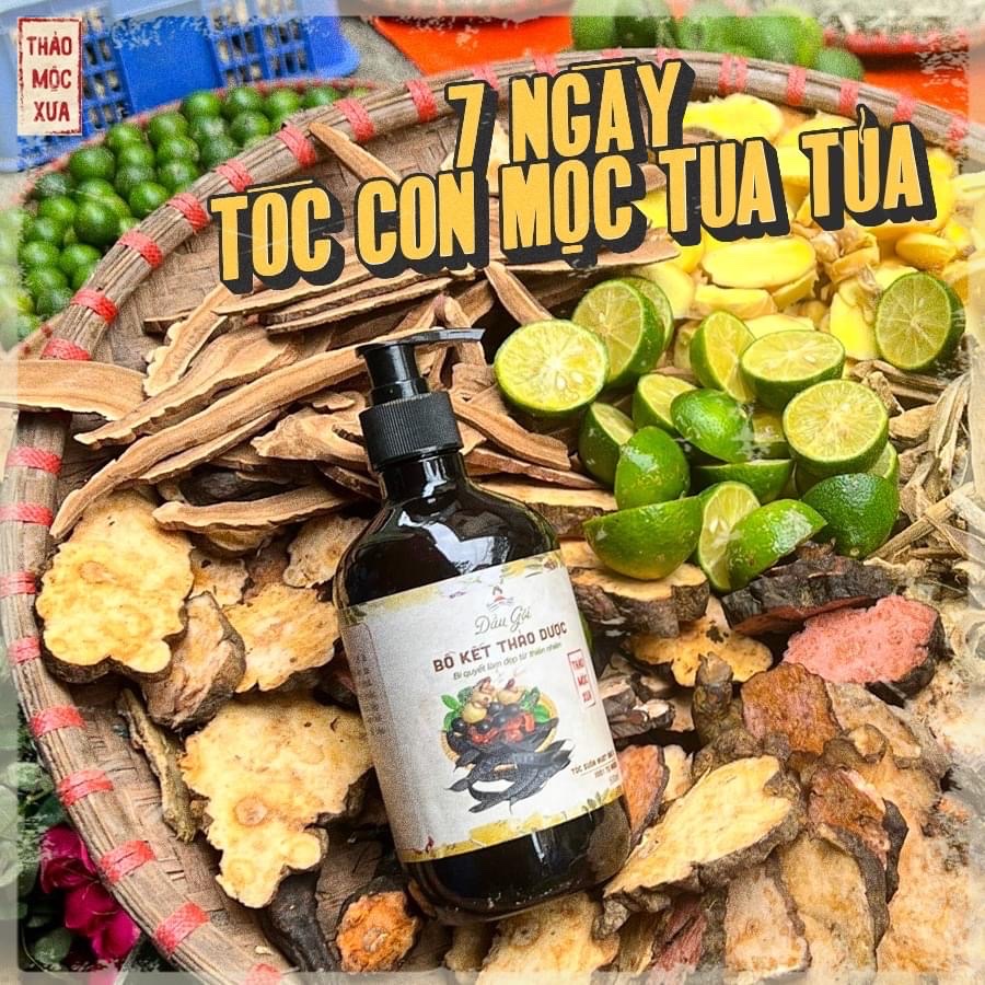 Dầu Gội Bồ Kết Thảo Dược Kích Thích Mọc Tóc Ngăn Rụng Tóc Giảm Ngứa Gàu Thảo Mộc Xưa Organic 500ml Hiệu Quả Sau 7 Ngày Miquala