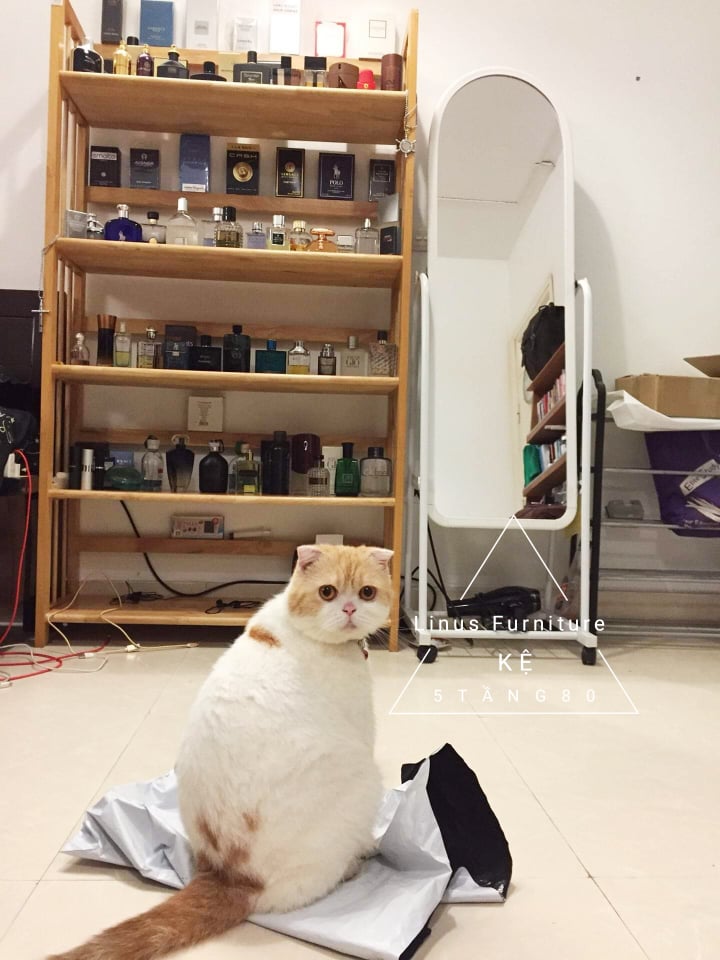 KỆ SÁCH GỖ 64CM 5 TẦNG