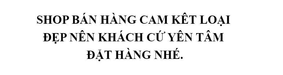Áo Lót Thái , Áo Lót Đẩy Kép Nâng Ngực Thông Hơi Cực Đẹp 9