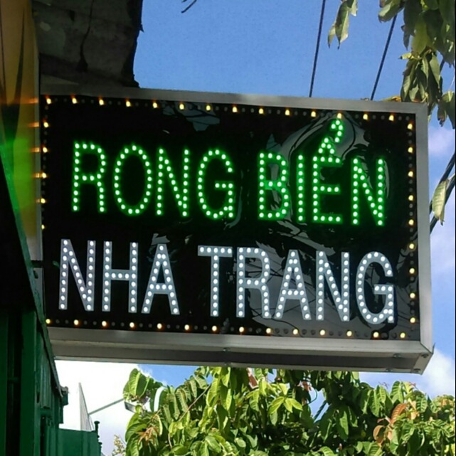 Rong Biển_Nha Trang