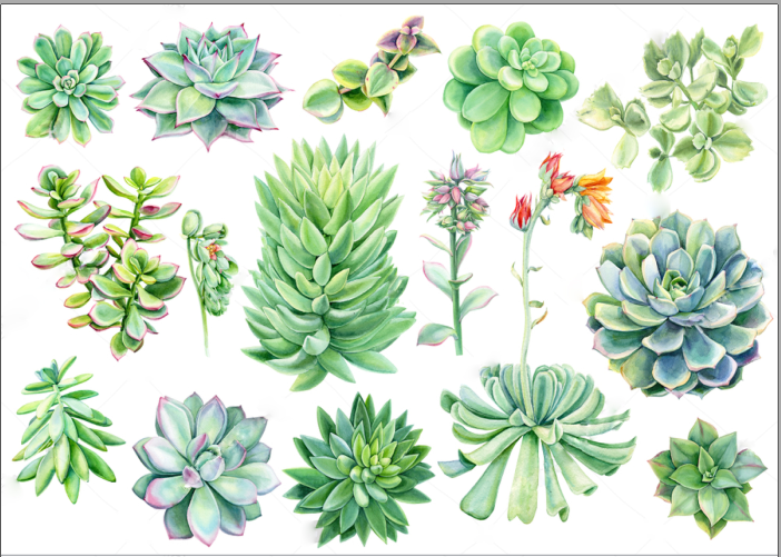 Sticker dán sổ tay, trang trí sổ dán ảnh, scrapbook, nhãn dán sinh nhật, giáng sinh