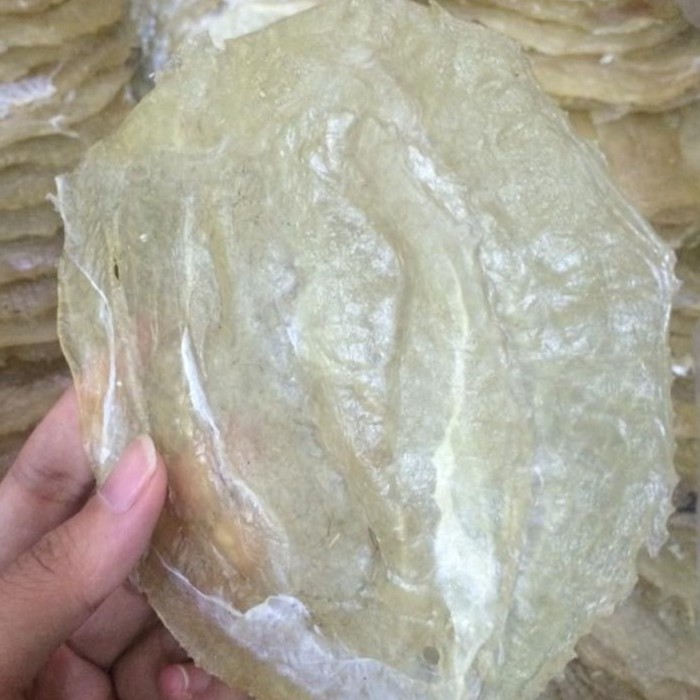 1kg Cá Bò Khô/ Khô cá bò/ cá bóng loại 1- Hải Sản Quảng Ninh ( tặng kèm 100gr khô cá chỉ vàng L1 25k) đặc sản Quảng Ninh thơm ngon , dinh dưỡng cao